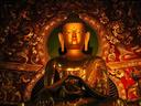 Buddha.